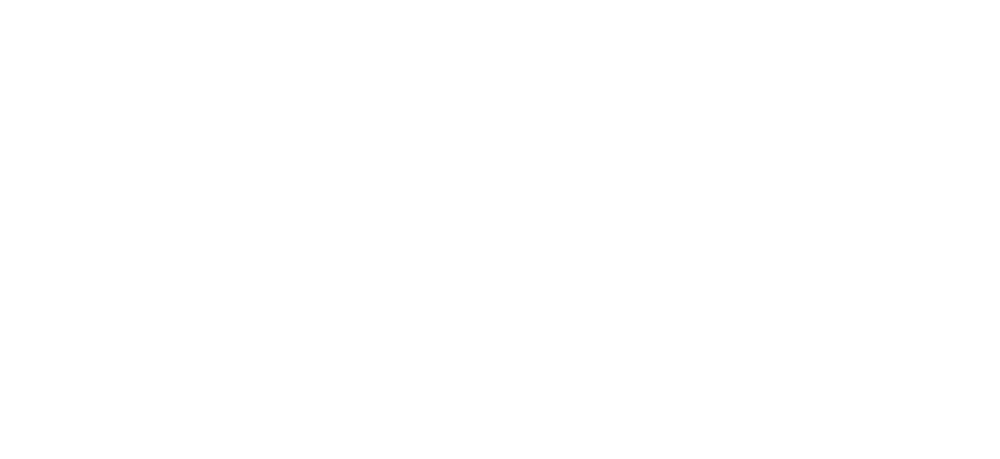 Blue star marine Logo