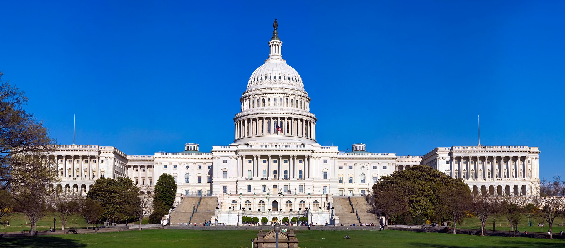Advocacy Report